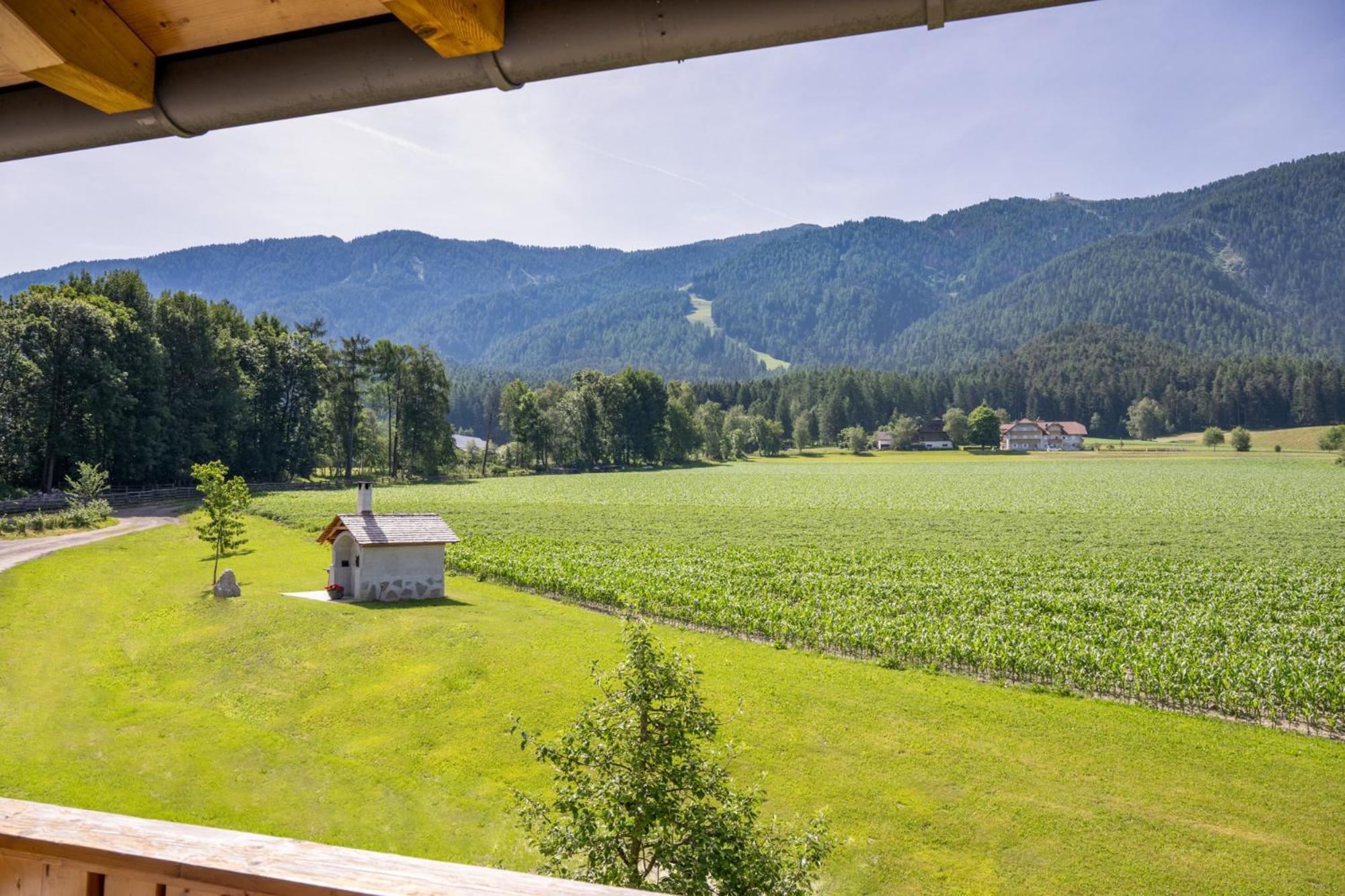 Ferienwohnung Mair Am Bach 브루니코 외부 사진